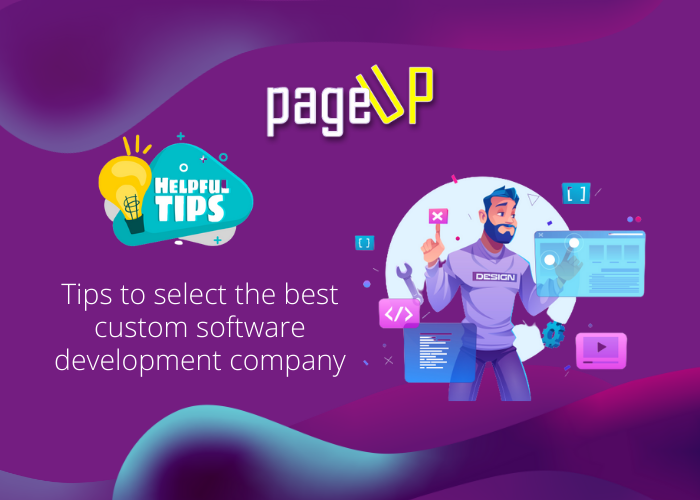 Useful Tips to select the best custom software